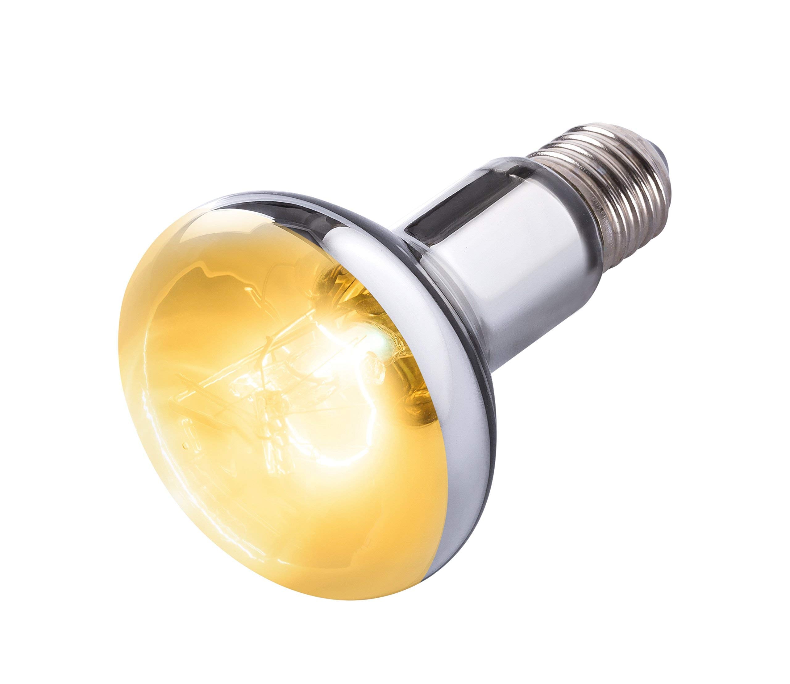 REPTI ZOO sun lamp basking-spot shows reptile basking warmth and UV exposure