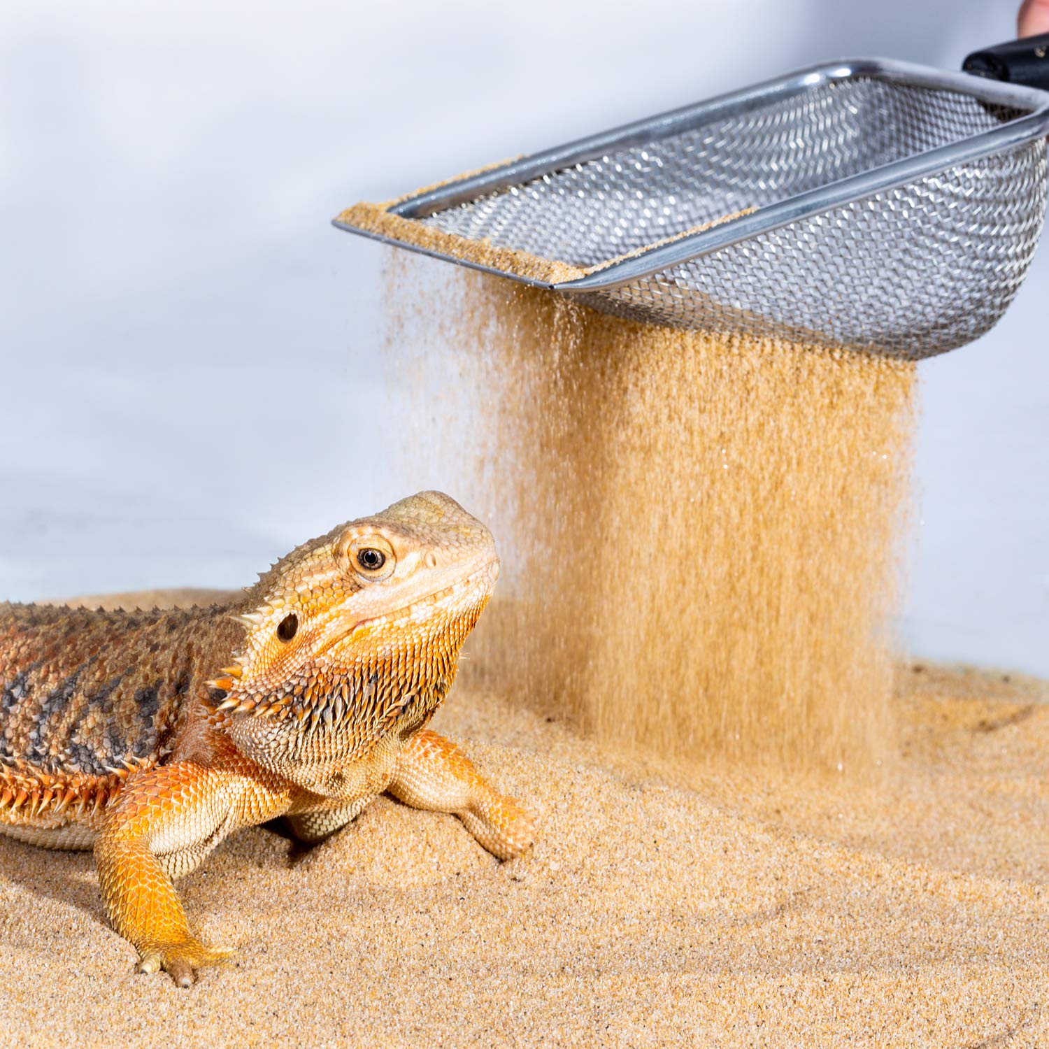 REPTI ZOO compatible with tortoises lizards snakes for efficient substrate maintenance.
