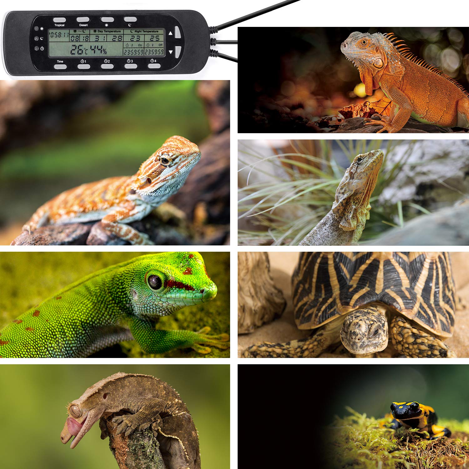 REPTI ZOO THC16 alarm-notification alerts for extreme temperatures.
