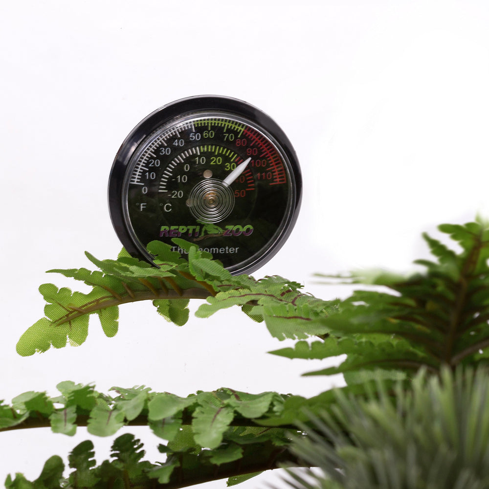 REPTI ZOO Celsius and Fahrenheit switch supports flexible monitoring