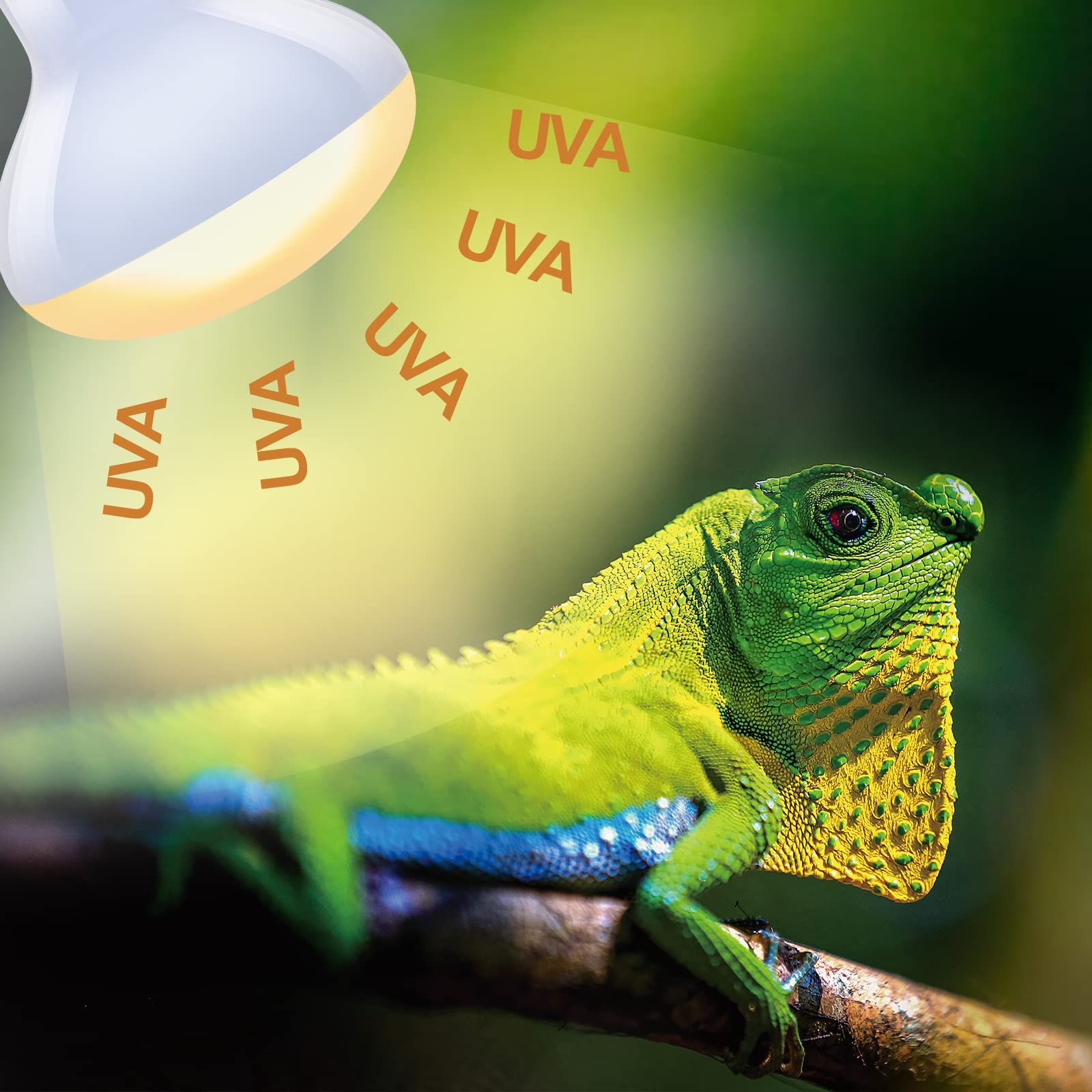 REPTI ZOO two-pack heat lamp set simplifies habitat planning and maintenance.
