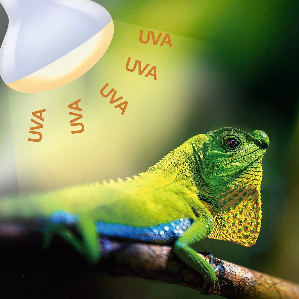 REPTI ZOO two-pack heat lamp set simplifies habitat planning and maintenance.