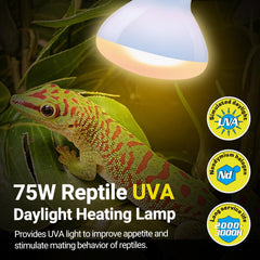 REPTI ZOO UVA daylight heating lamp supports reptile vitality