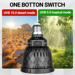 REPTI ZOO UVB Light — 5000K spectrum delivers natural sunlight feel for daylight-like illumination.