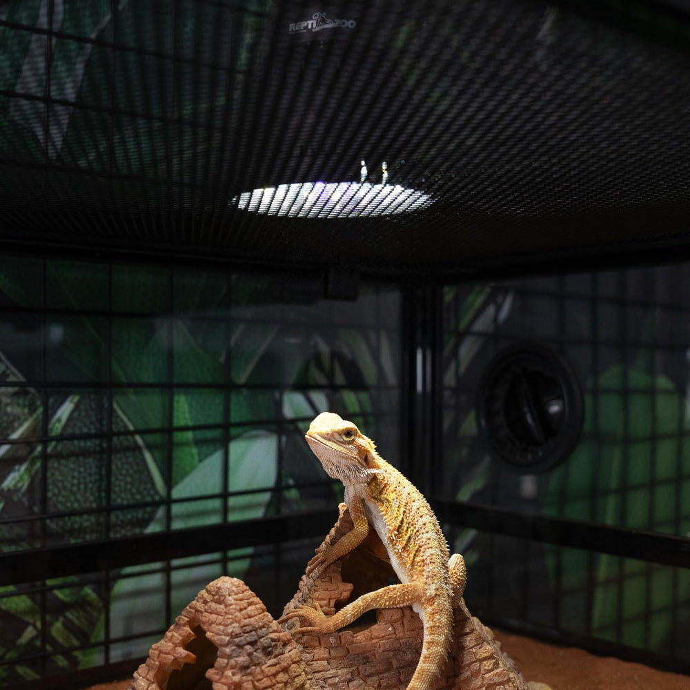 REPTI ZOO UVB Light — trusted by breeders and veterinarians for reliable reptile lighting support.