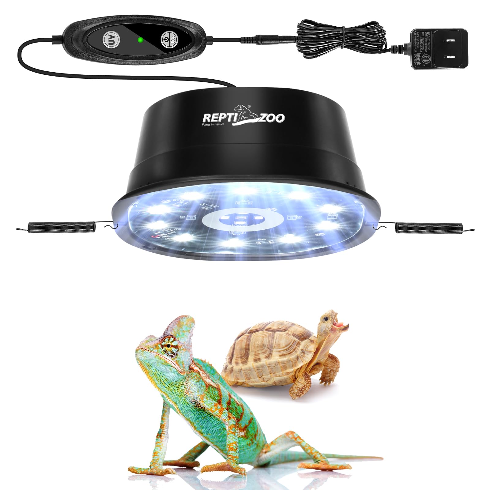 REPTI ZOO UVB light fixture overhead providing balanced UVB for tropical reptiles.