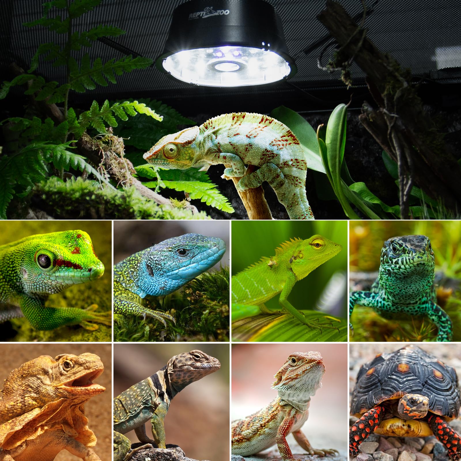 REPTI ZOO UVB lamp in enclosure used for UV exposure across species.