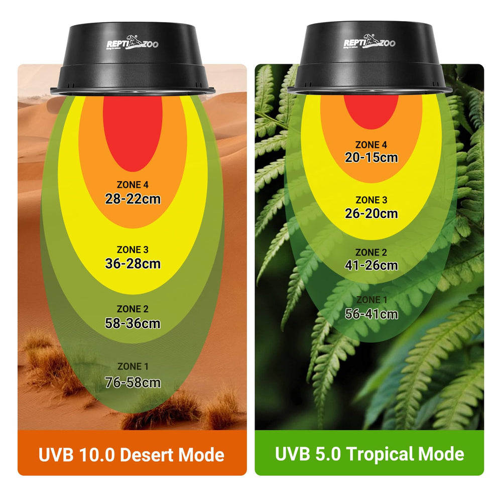 REPTI ZOO UVB 6W fixture highlighted as energy-saving option for enclosures.