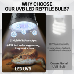 REPTI ZOO UVB Light — flicker-free, eye-safe illumination improves color balance for viewing reptiles.