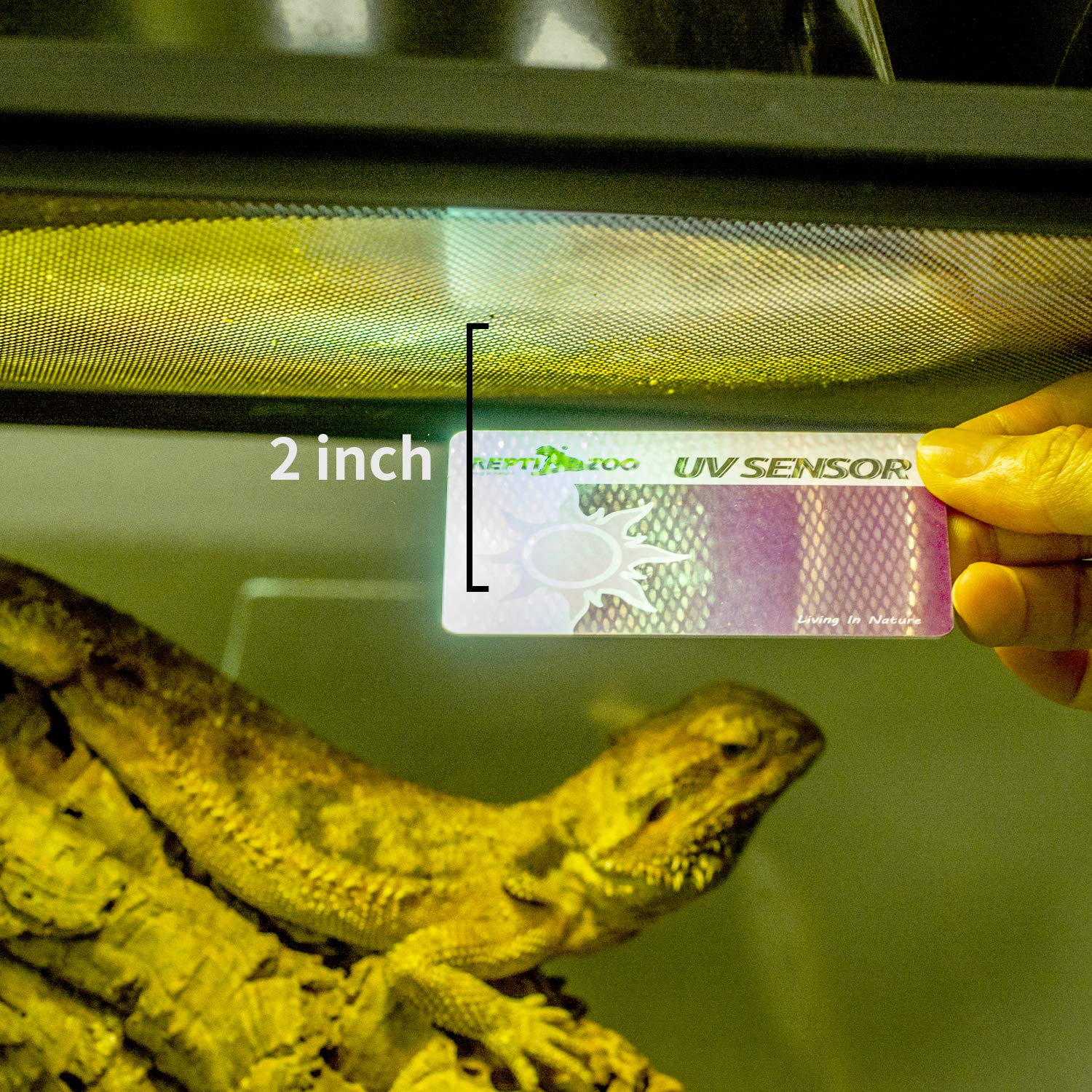 REPTI ZOO UVB tester non-toxic material ensures safe, reusable lamp monitoring.