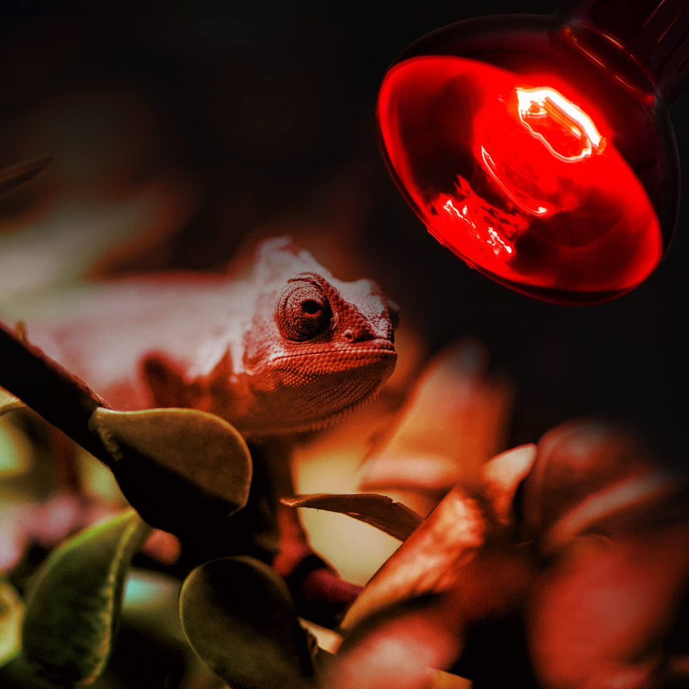 REPTI ZOO UVA daylight lamp supporting calcium absorption in reptiles.