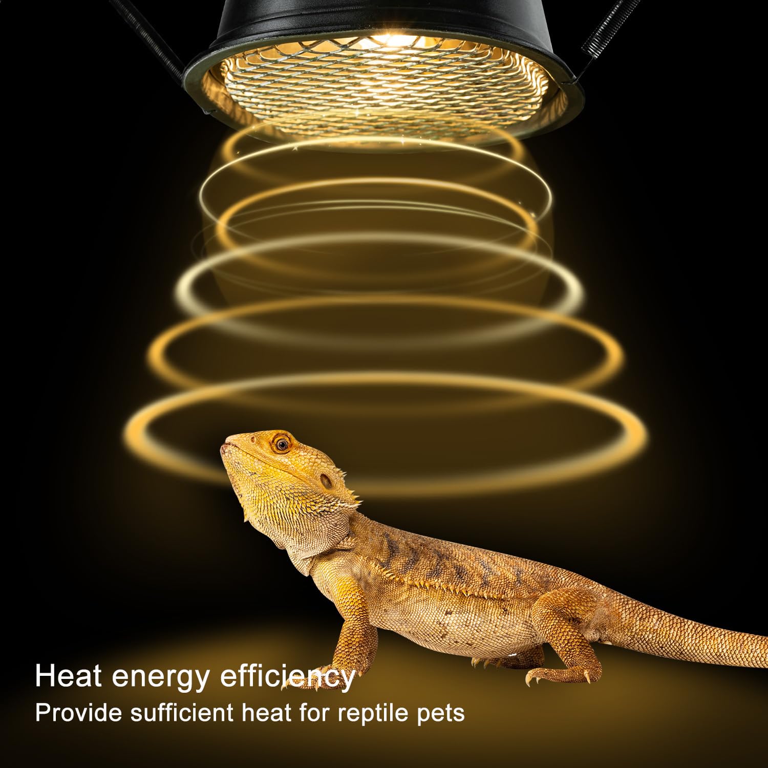 REPTI ZOO warm white glow provides inviting daytime atmosphere for reptiles