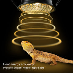 REPTI ZOO warm white glow provides inviting daytime atmosphere for reptiles