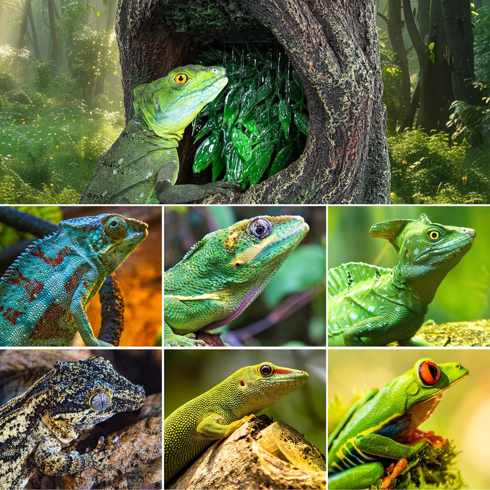 REPTI ZOO waterfall fountain cleaning and filter access aids quick maintenance.