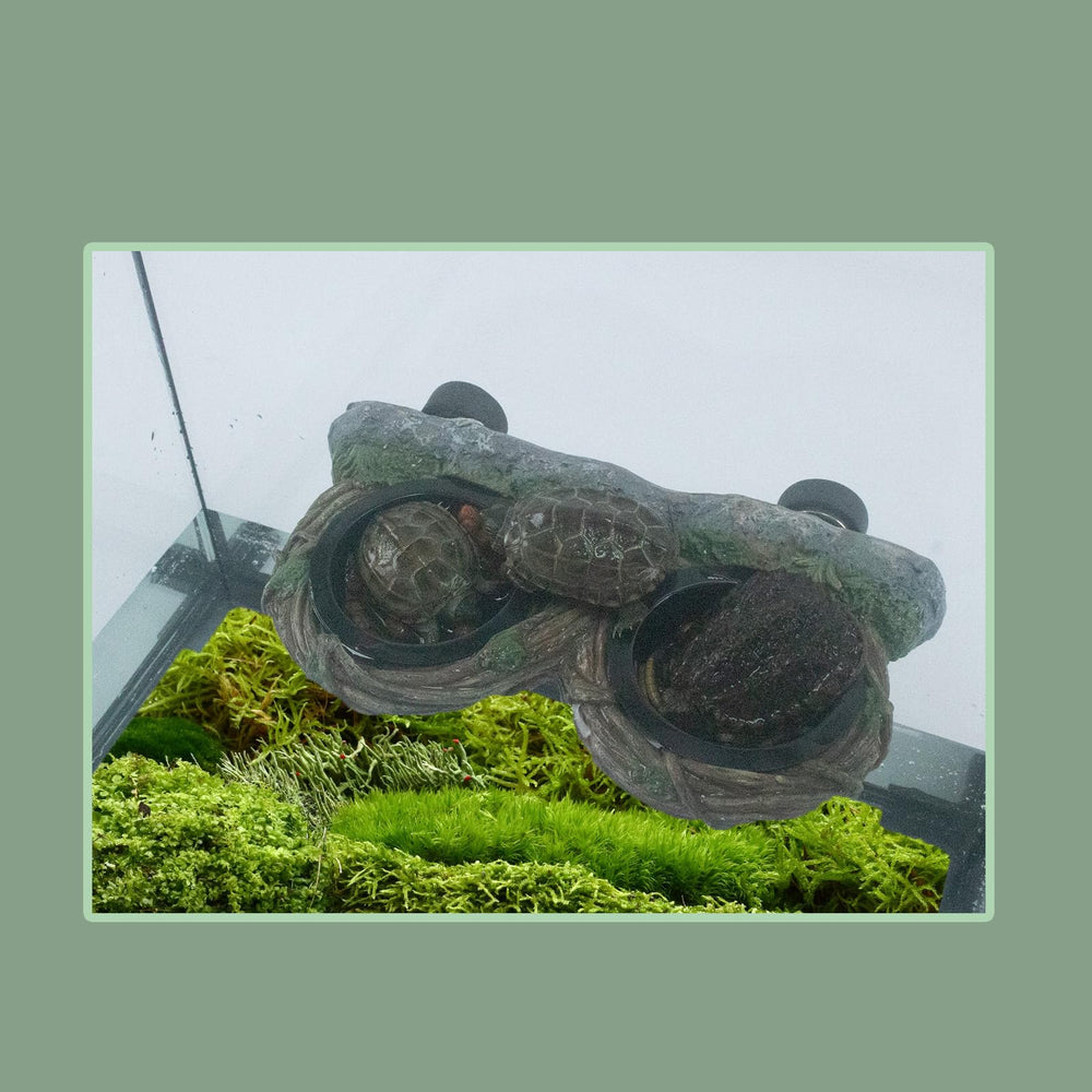 Repticircle easy clean reptile feeder keeps feeding area tidy.