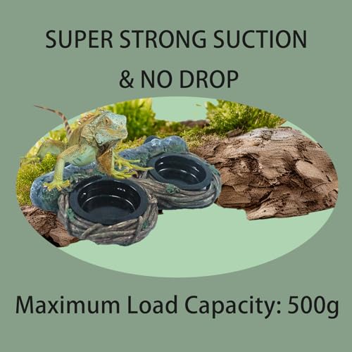 Repticircle four cups feeding ledge offers organized meals for geckos.