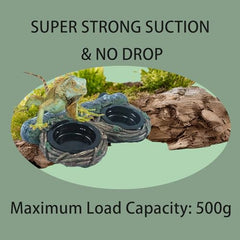 Repticircle four cups feeding ledge offers organized meals for geckos.