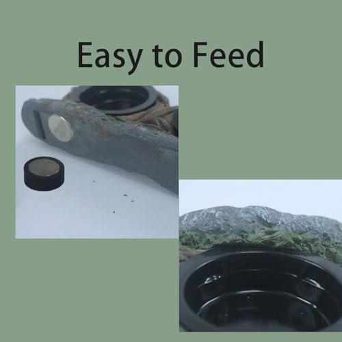 Repticircle glass-mount magnets attach securely to tank glass for stable feeding.