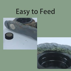 Repticircle glass-mount magnets attach securely to tank glass for stable feeding.