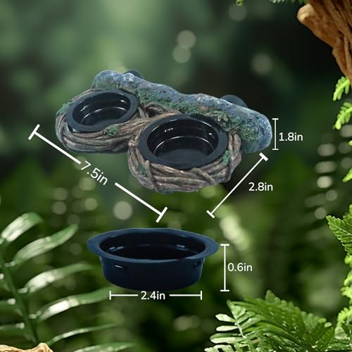 Repticircle hollow vine dish enhances terrarium aesthetics while serving as a food bowl.
