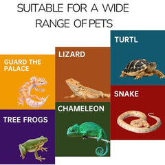 Repticircle reptile hide bearded dragon side entrance supports secure retreat in enclosures
