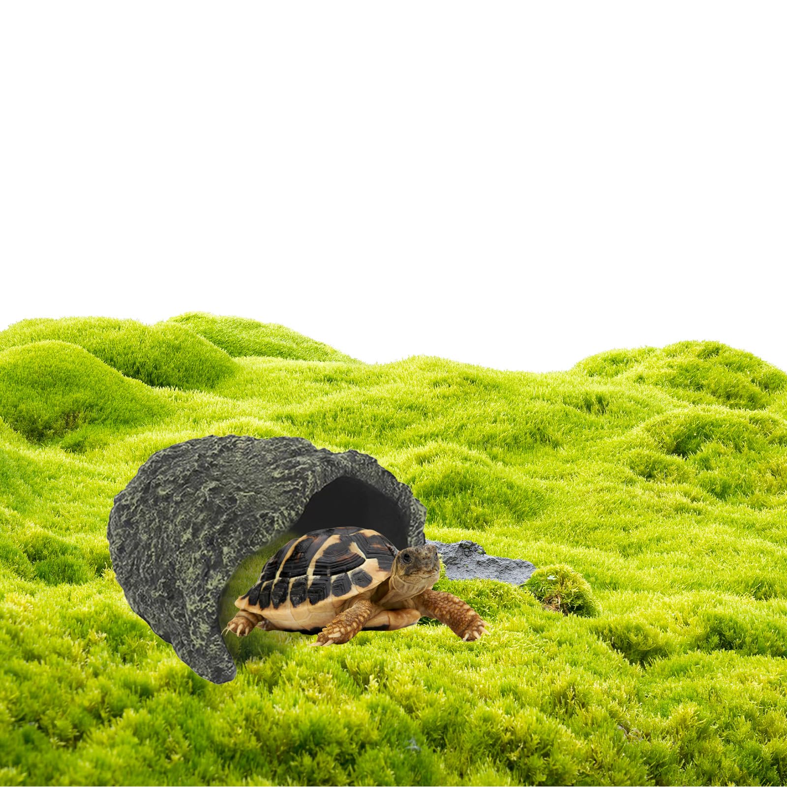 Repticircle large rock cave hideout stable base preventing tipping