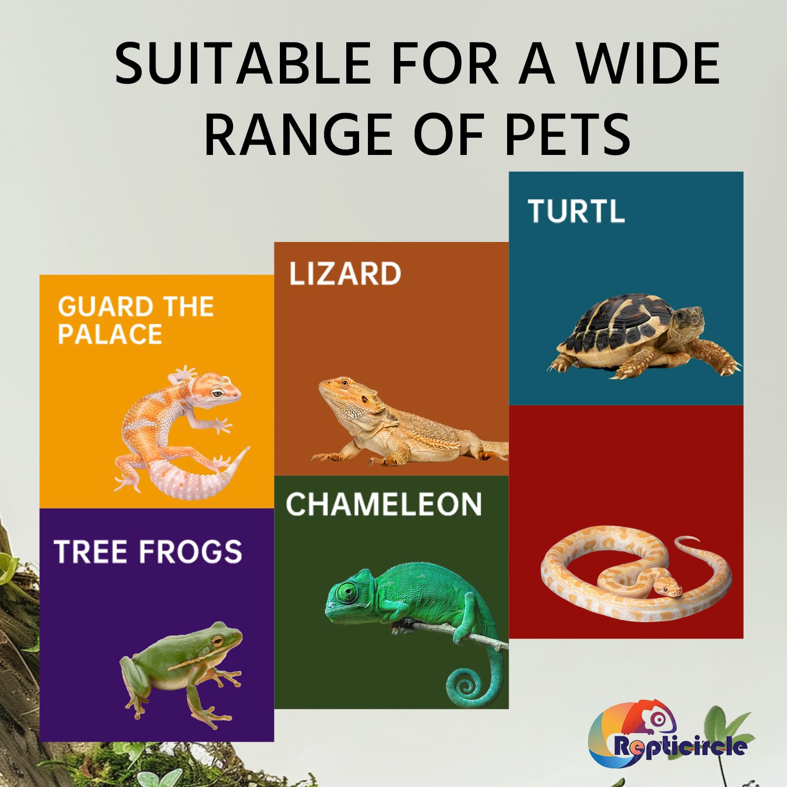 Repticircle large cave hideout top basking platform for warmth