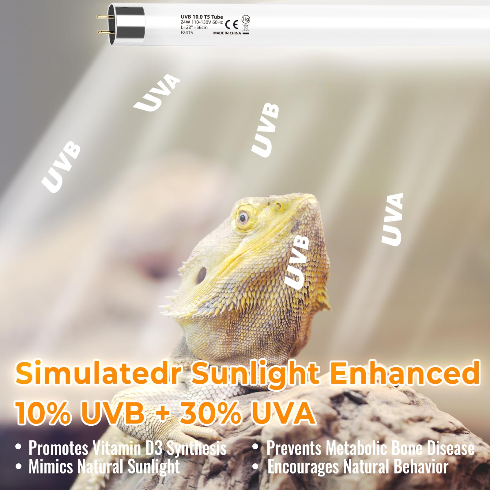 Bearded dragon enclosure shown with REPTIDLDB UVB lighting for activity.
