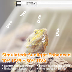 Bearded dragon enclosure shown with REPTIDLDB UVB lighting for activity.