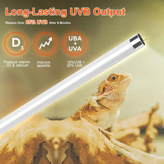 REPTIDLDB desert setup with T5 UVB fixture supports basking and calcium metabolism
