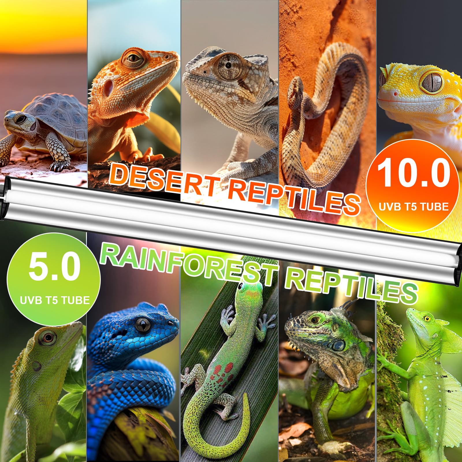 REPTIDLDB low-heat design preserves enclosure temperatures while enabling steady daylight cycles.