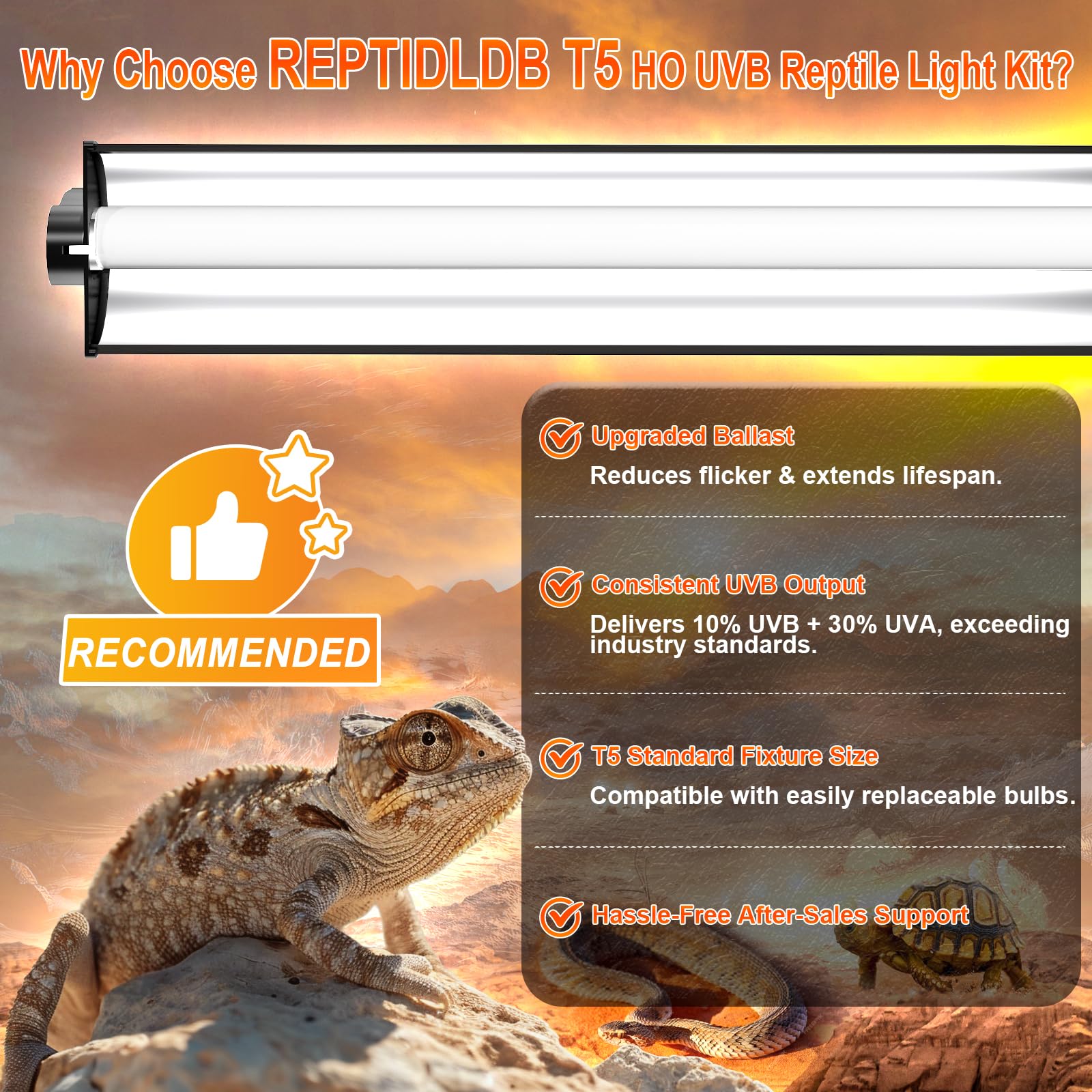 REPTIDLDB T5 UVB 10-0 bulb kit captures essential UVB exposure with low heat.