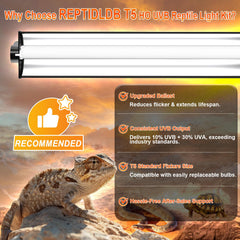 REPTIDLDB T5 UVB 10-0 bulb kit captures essential UVB exposure with low heat.