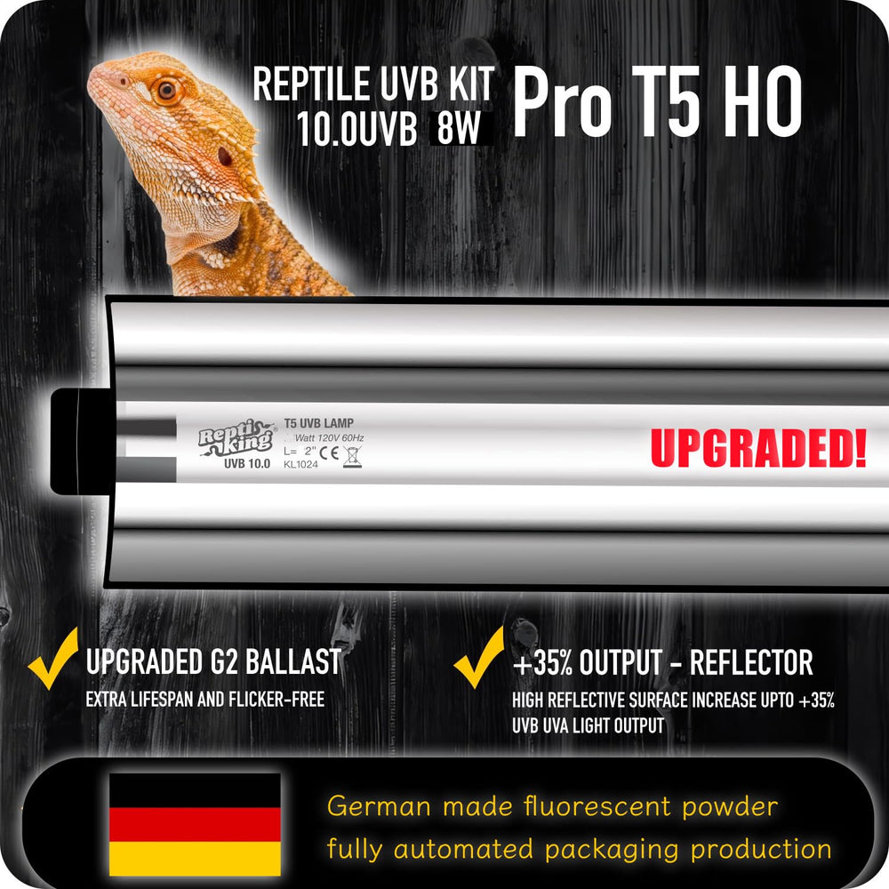 ReptiKing 12-inch T5 bulb length fits compact terrariums for efficient UVB coverage.
