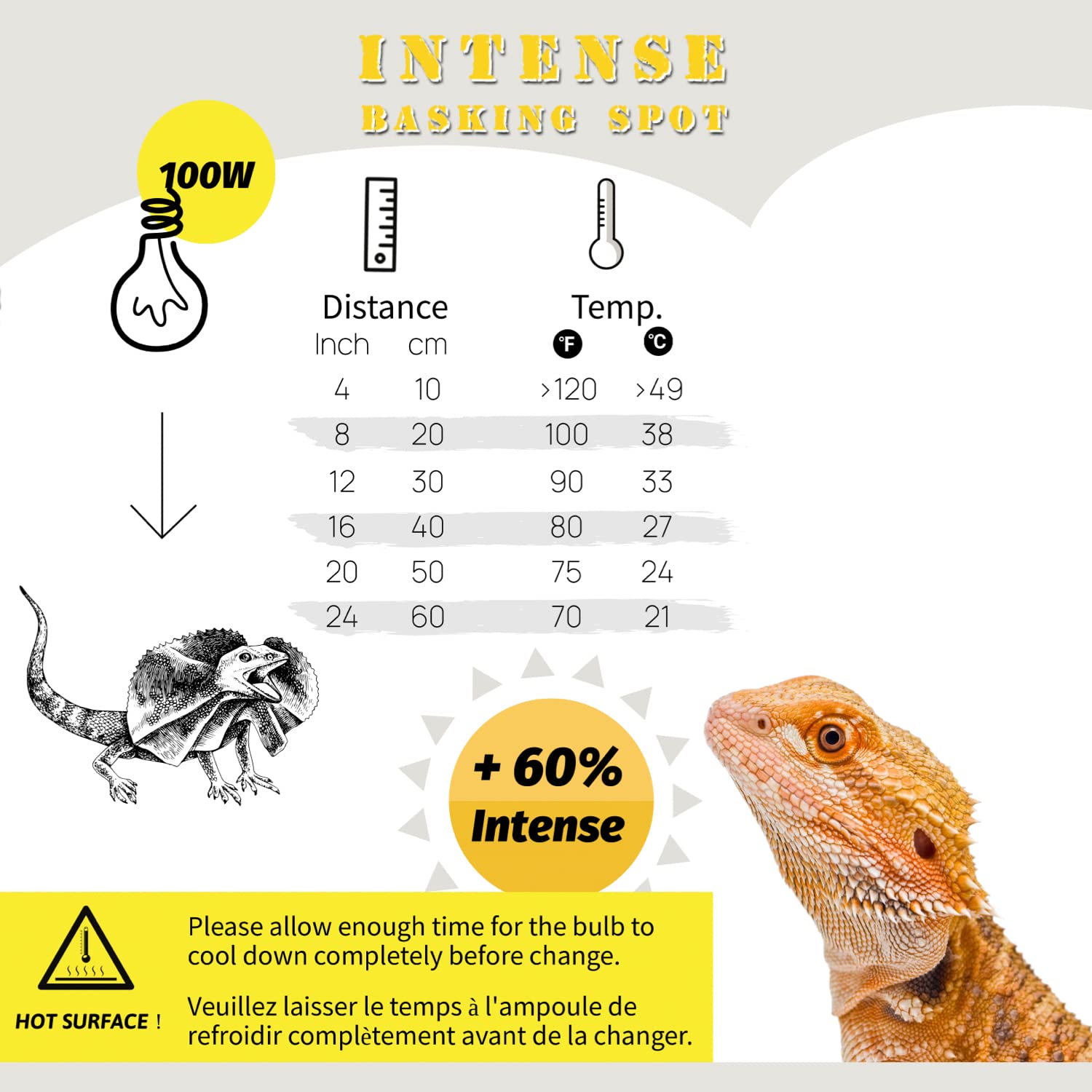 ReptiKing basking light UV direct sunlight simulation in action promotes natural behavior.