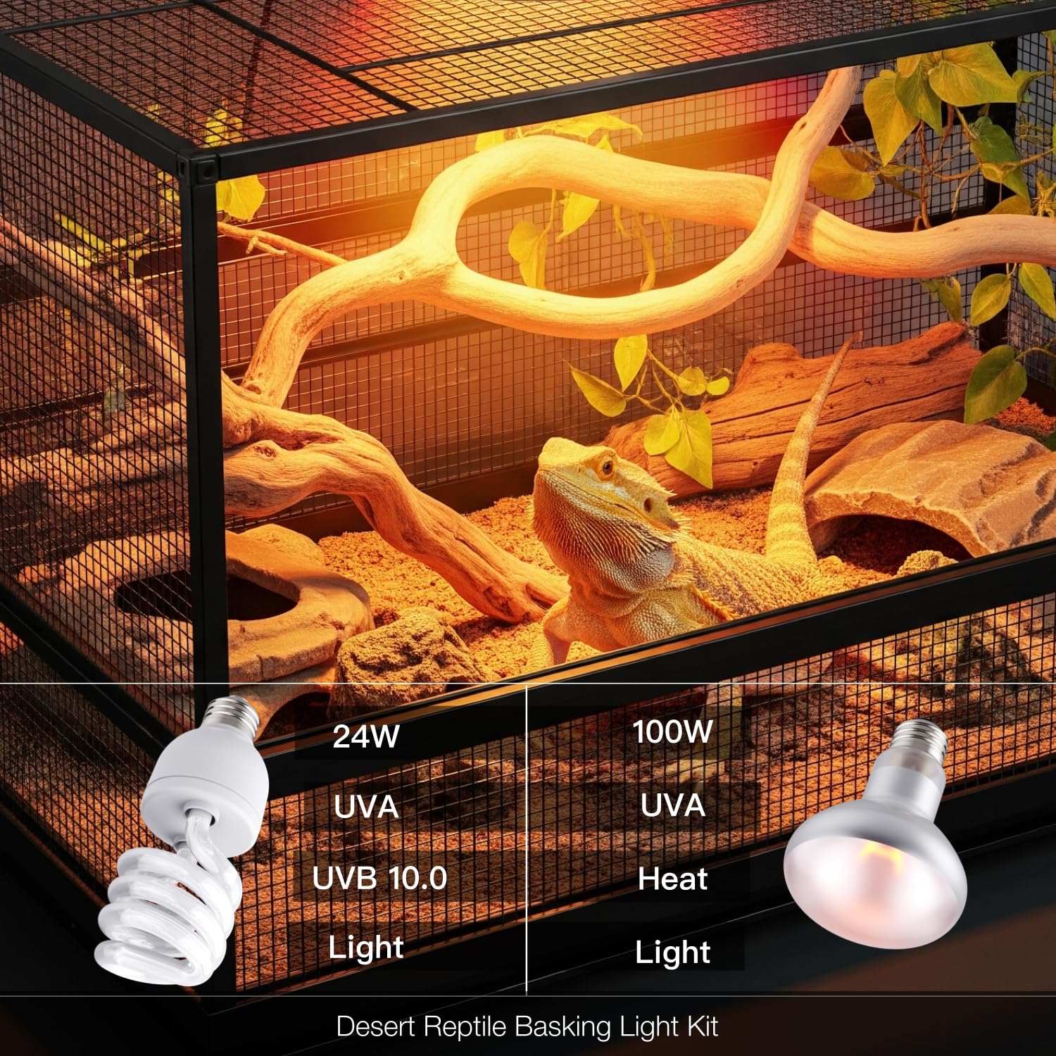 ReptiKing bearded-dragon-enclosure-lighting for daytime warmth.