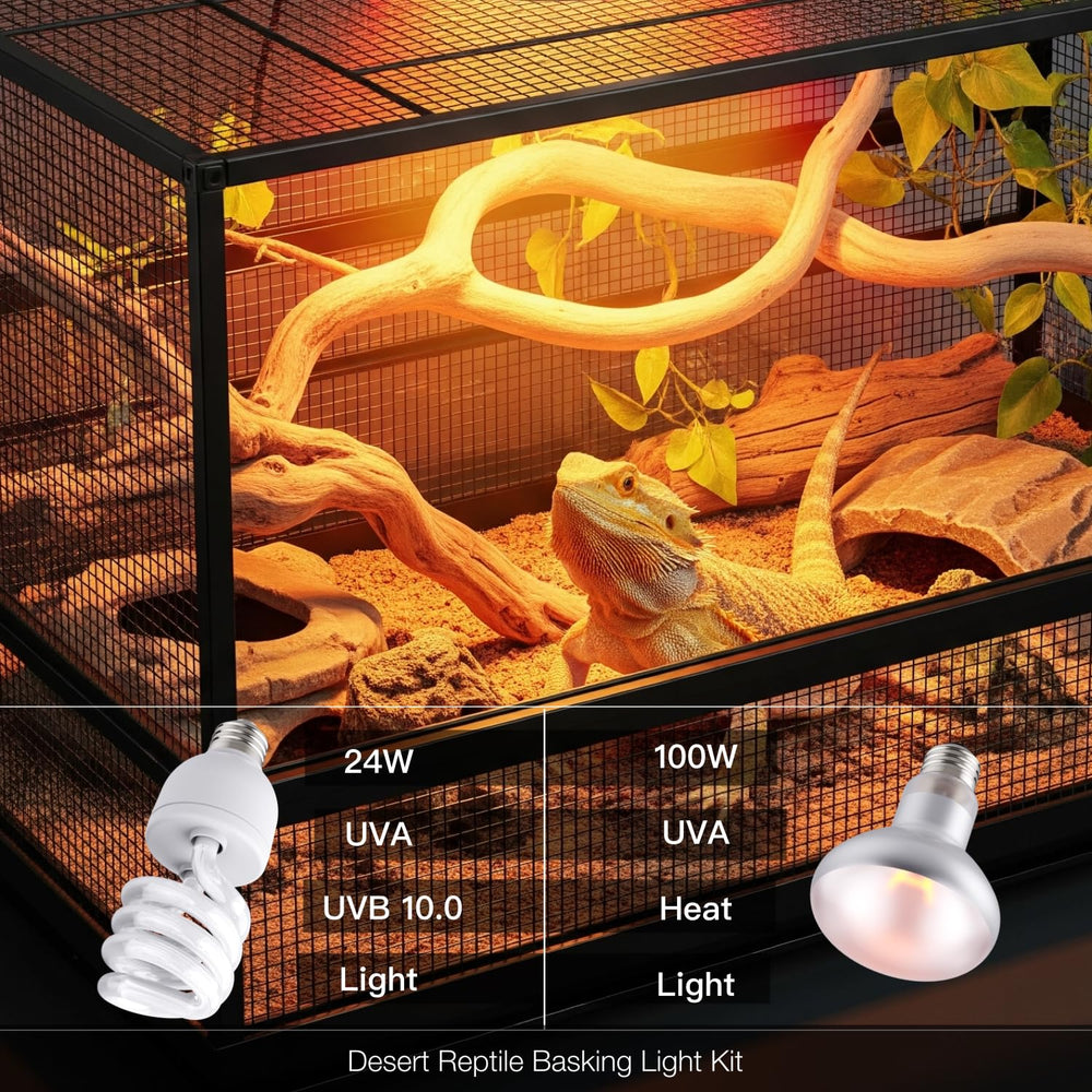 ReptiKing bearded-dragon-enclosure-lighting for daytime warmth.