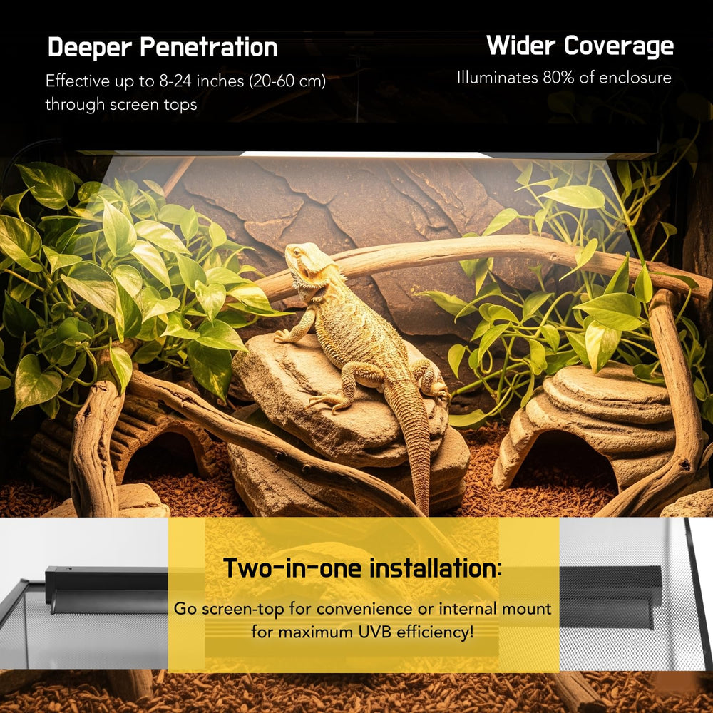 ReptiKing Bearded Dragon UVB lamp supports optimal basking distance.