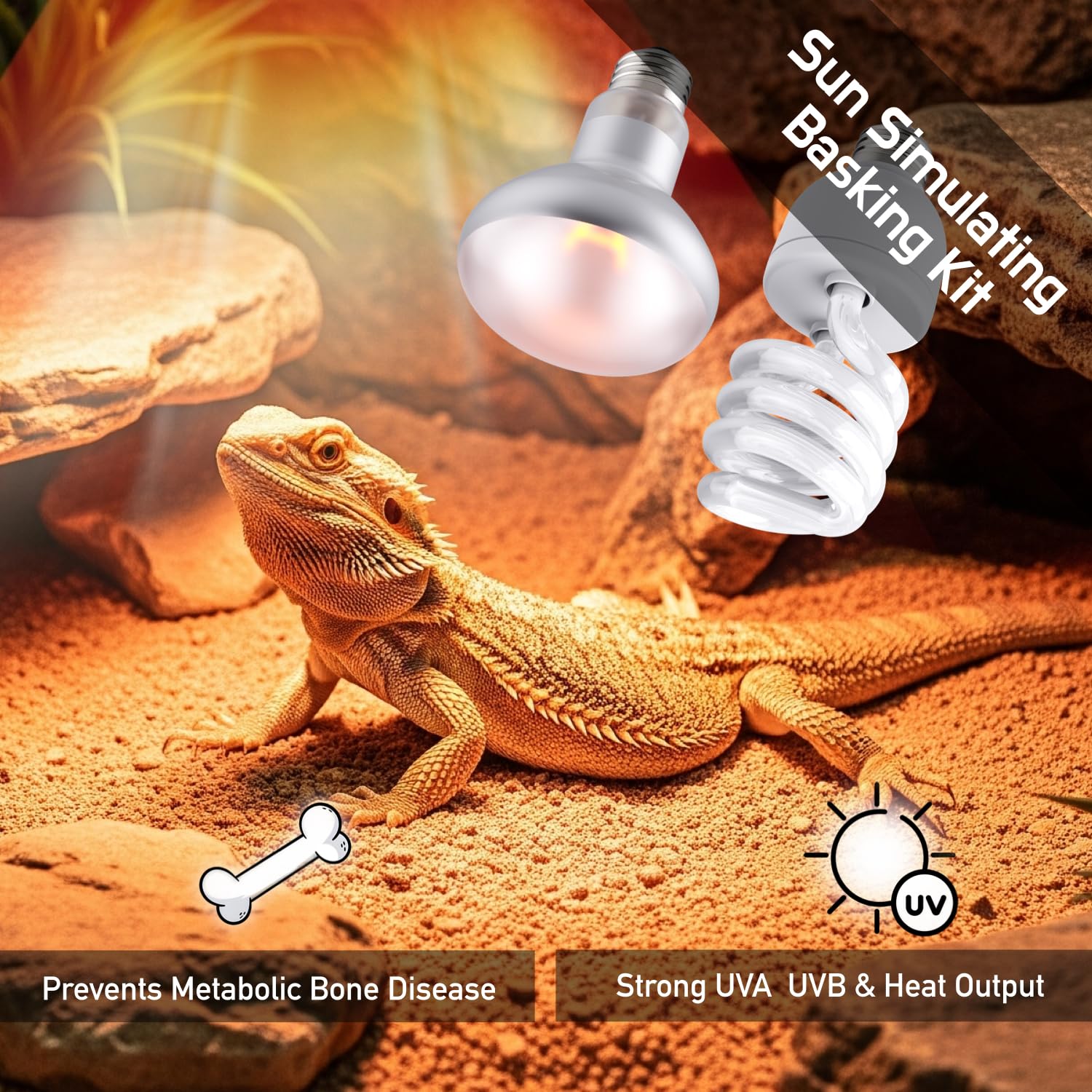 ReptiKing dual-pack-heat-lamps simplify enclosure setup.