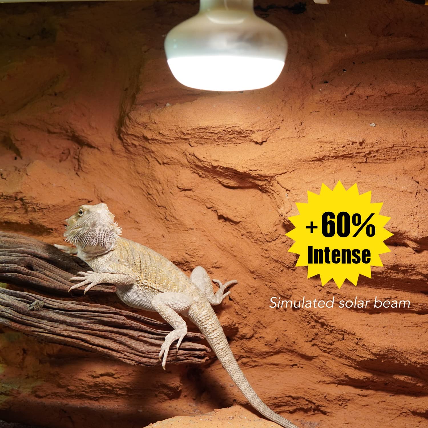 ReptiKing E26 120V reptile light bulb fits standard fixtures reliably.