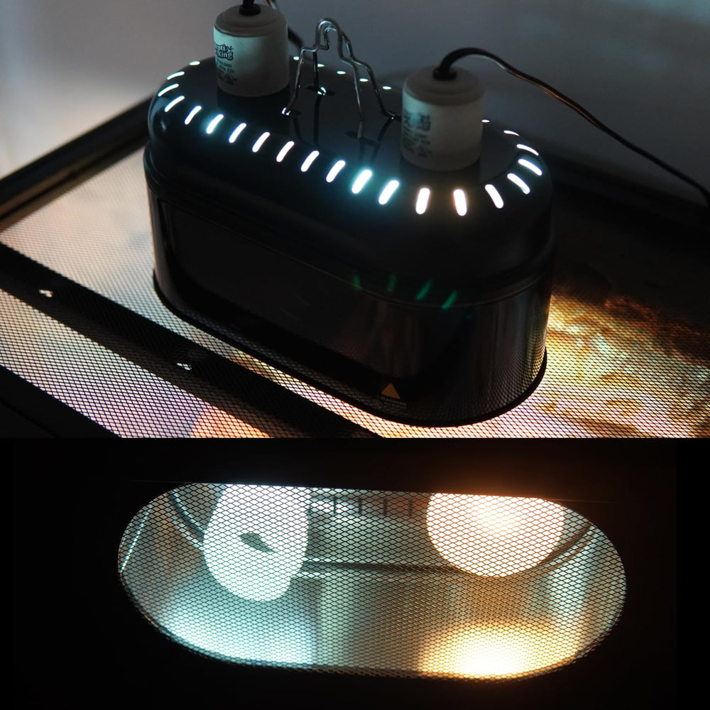 ReptiKing extra-deep aluminum reflector dome concentrates light for efficient visual warmth.