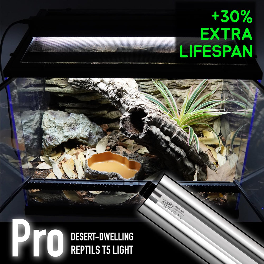 ReptiKing German-made UVB lamp glow in a reptile habitat enhancing daytime exposure.