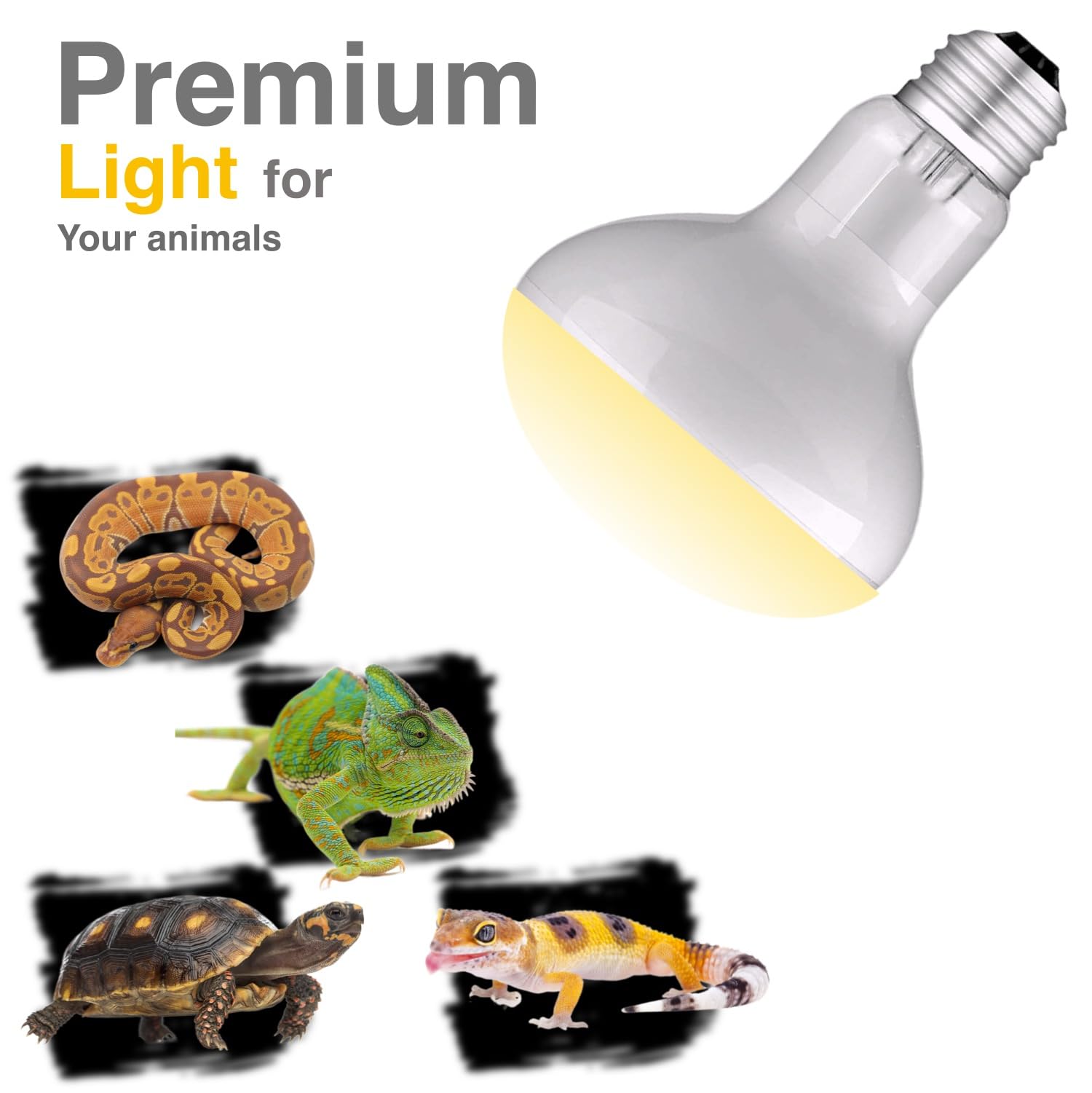 ReptiKing bearded dragon setup shows basking lamp for warm hotspot and activity.