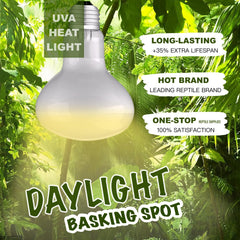 ReptiKing heat bulb terrarium basking spot supports warm zones for reptile comfort.