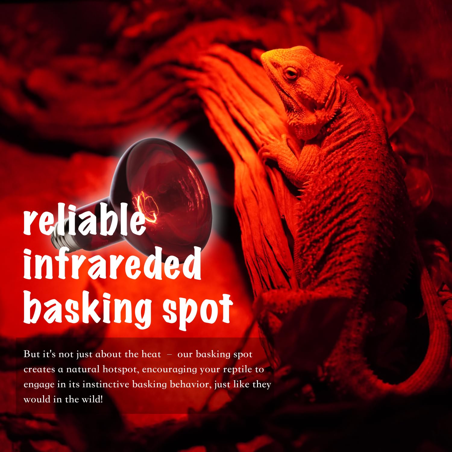 ReptiKing multi-species reptile light setup suits diverse terrariums.