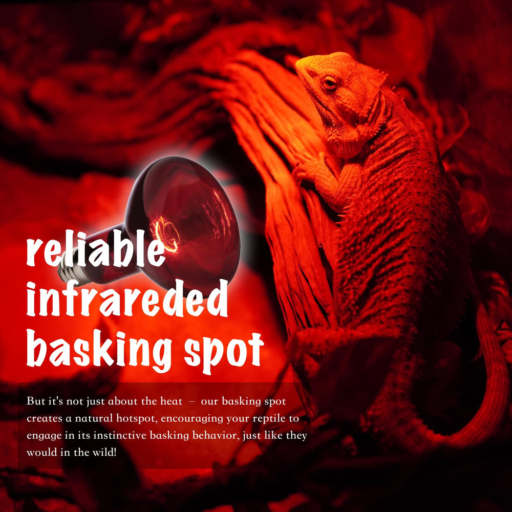 ReptiKing red basking bulb night-heat glow supports stable terrarium microclimates.