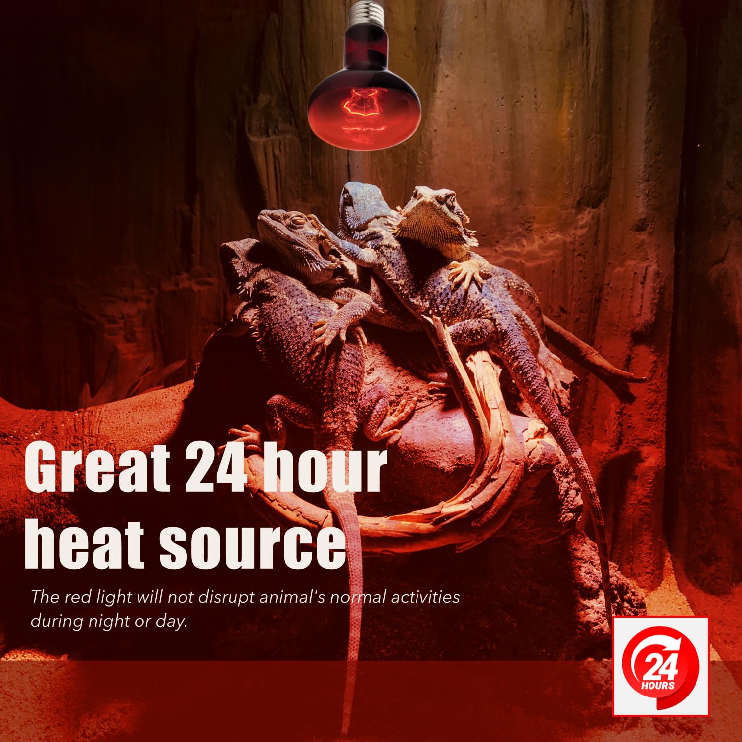 ReptiKing red basking bulb universal-usage supports reptiles and amphibians in 24-hour cycles.
