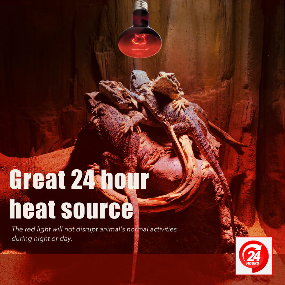 ReptiKing red basking bulb universal-usage supports reptiles and amphibians in 24-hour cycles.