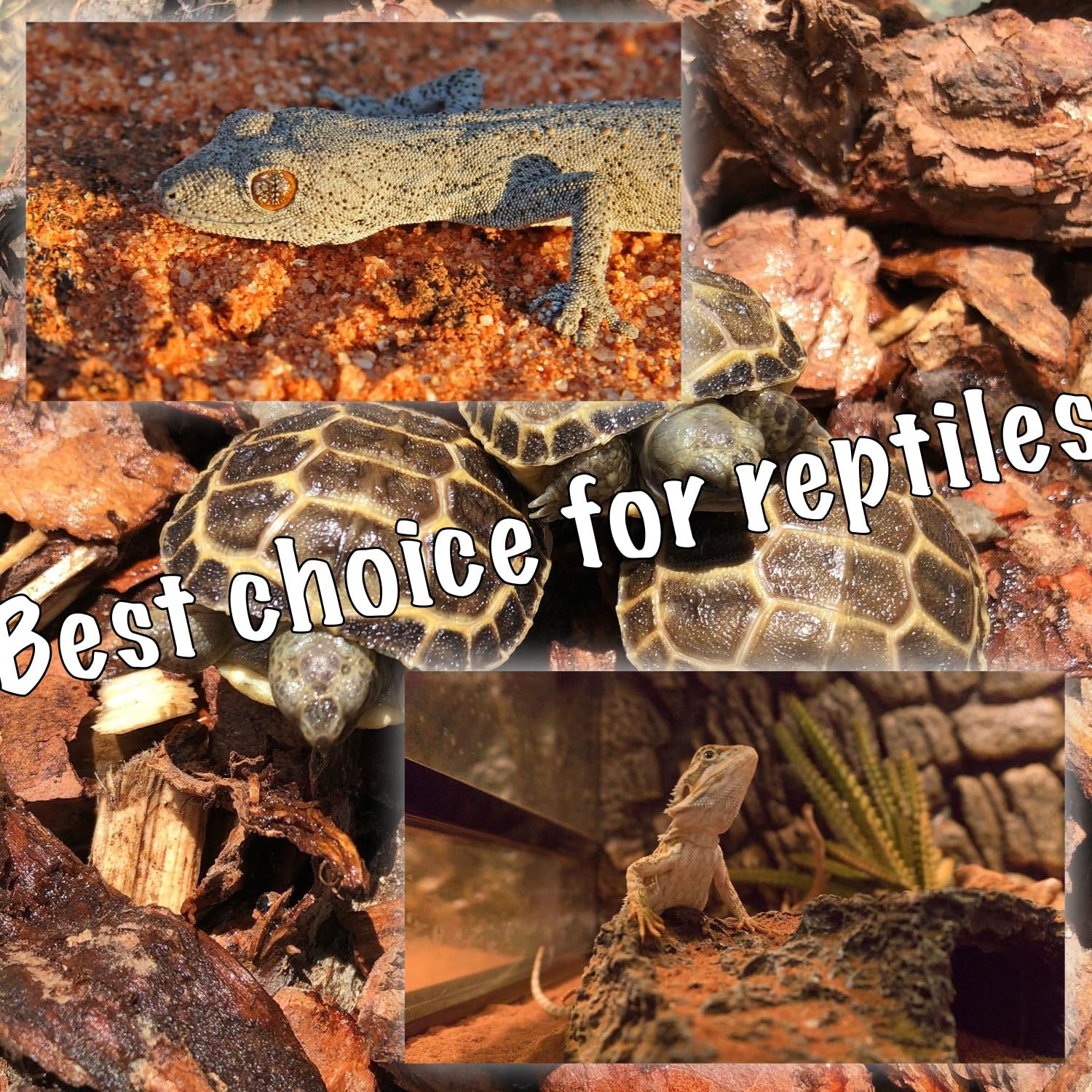 ReptiKing red basking bulb us-standard-e26 ensures easy fixture compatibility.