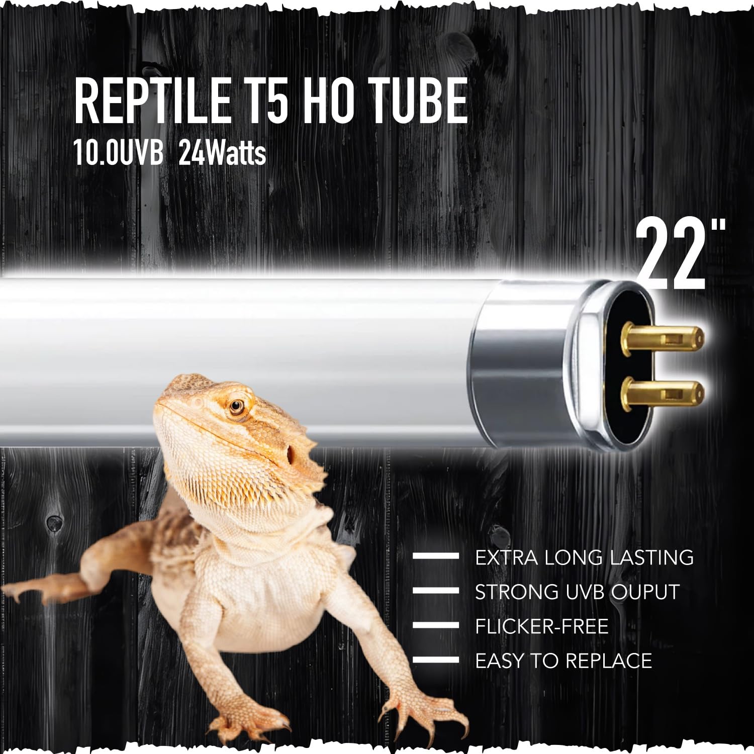 ReptiKing T5 24W UVB 10.0 tube creates bright basking spot for desert reptiles.